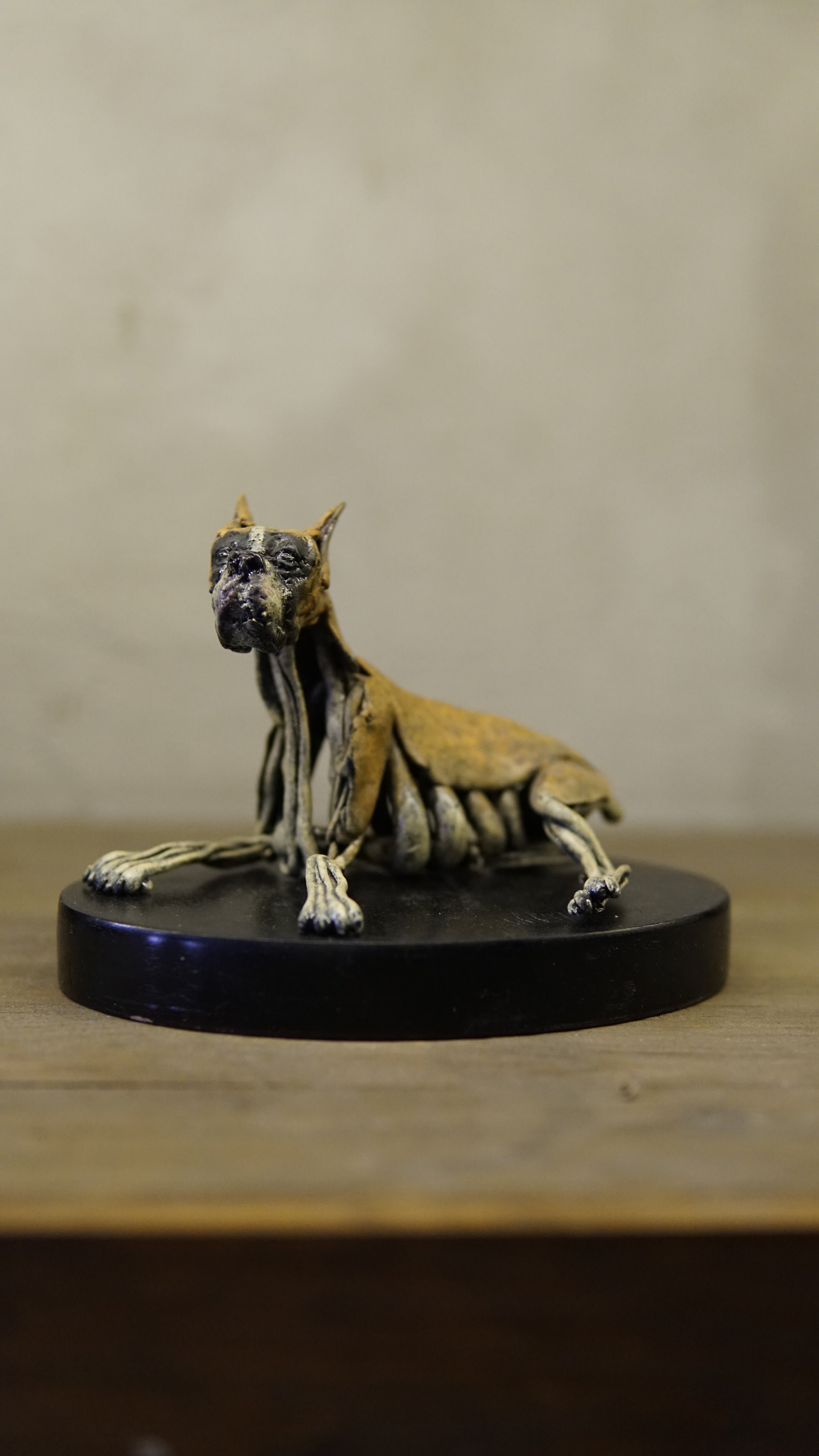 Hakan Baş - Köpek Irkları Serisi No.1