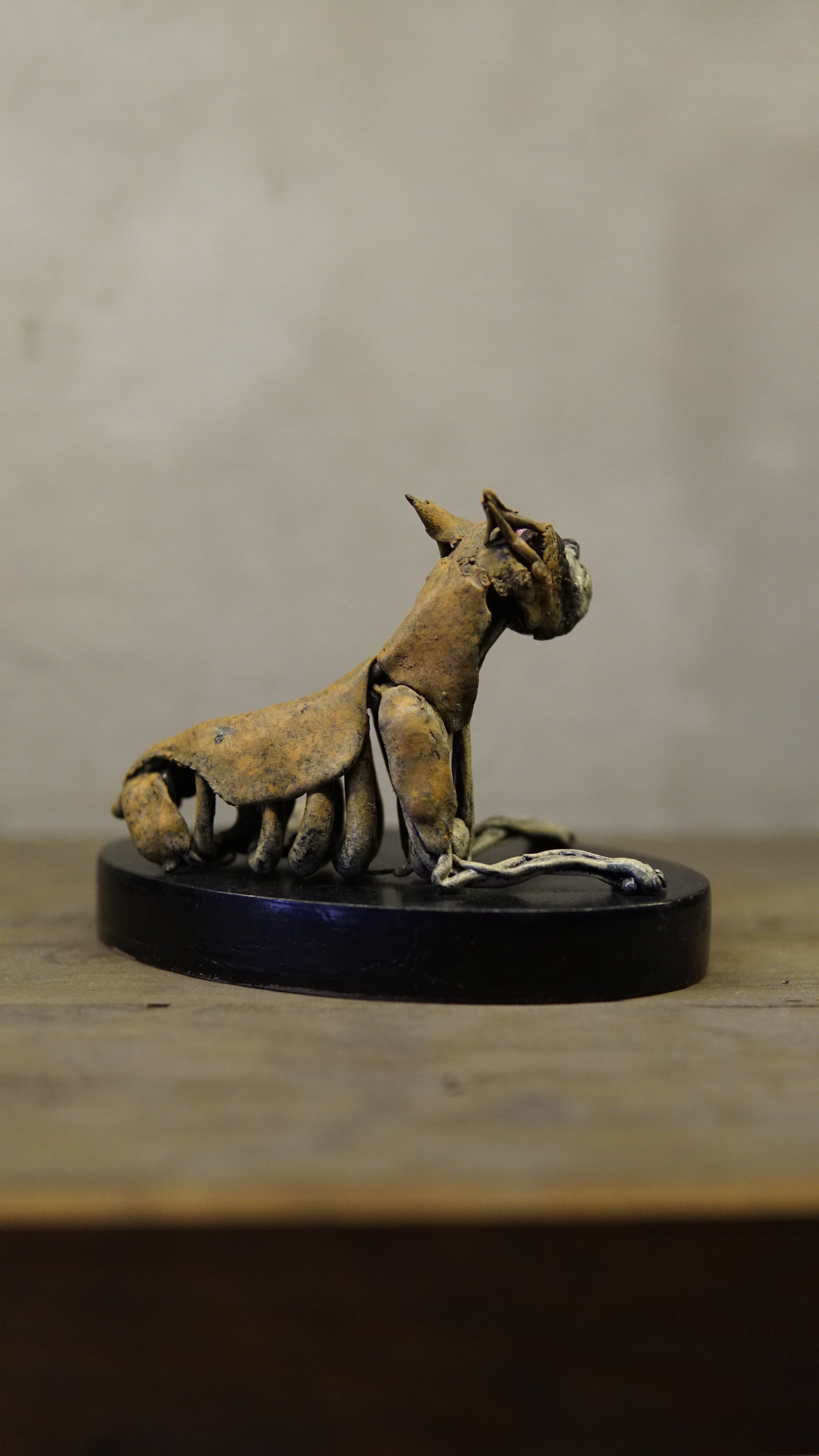Hakan Baş - Köpek Irkları Serisi No.1