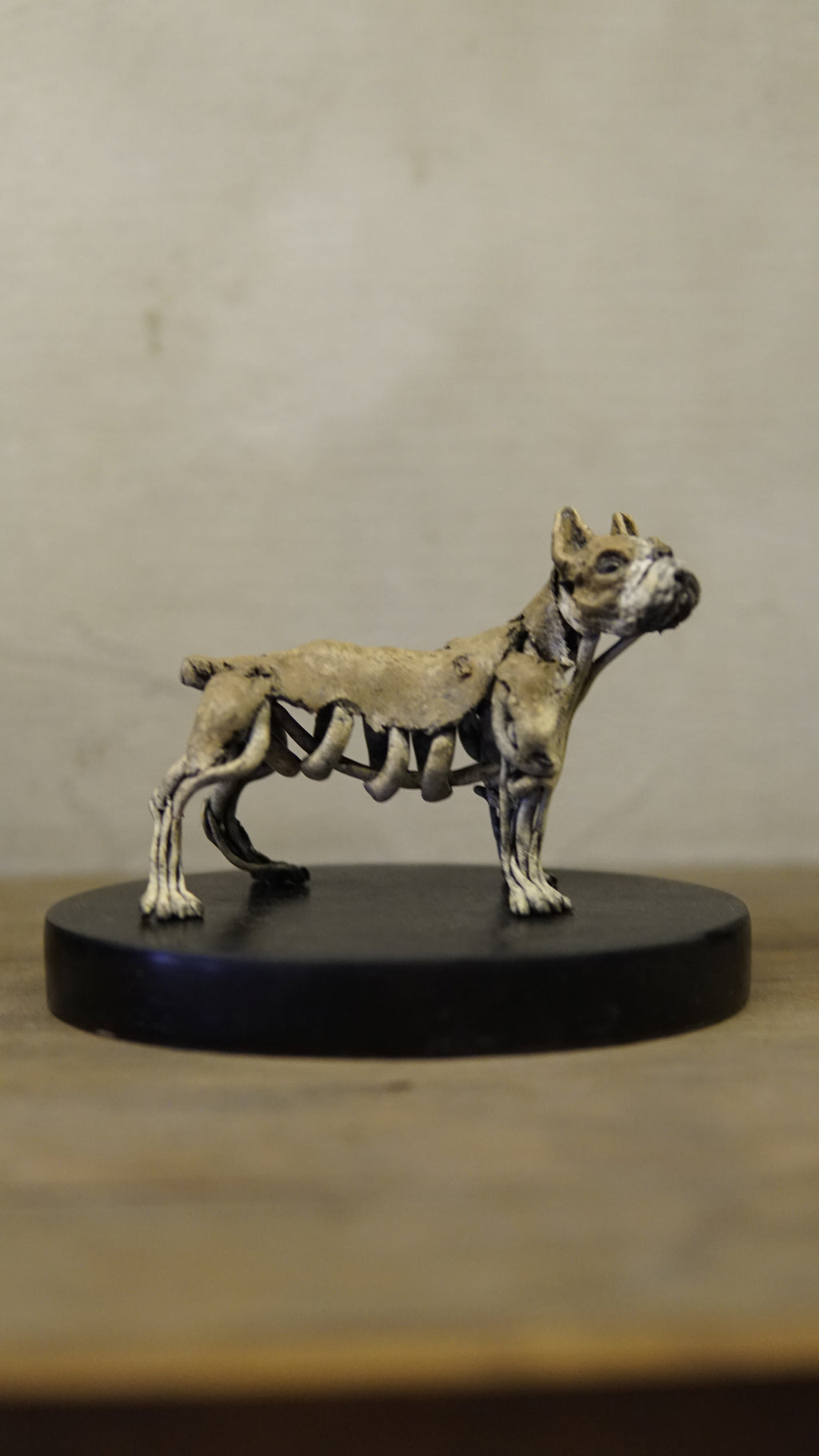 Hakan Baş - Köpek Irkları Serisi No.10