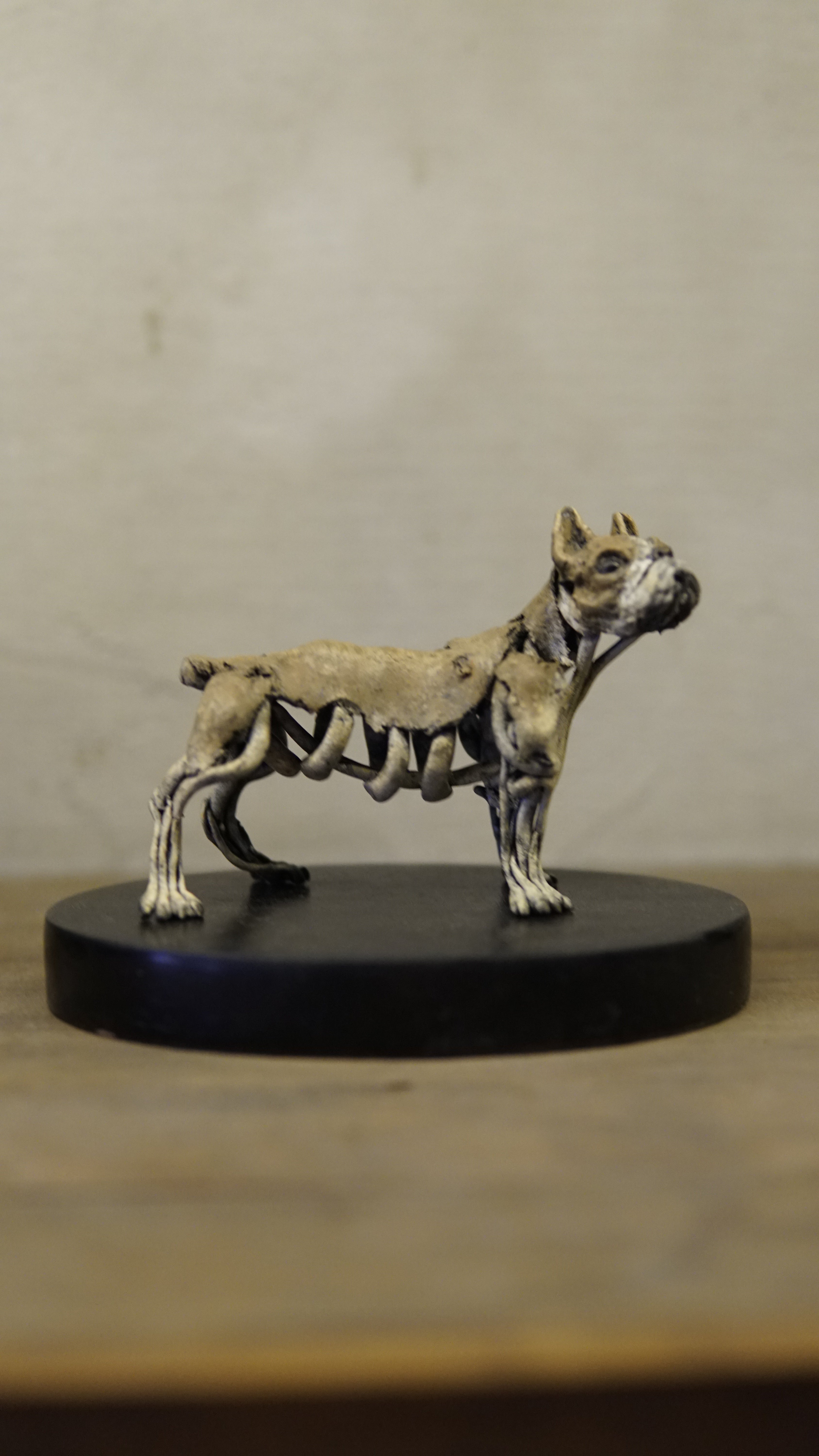 Hakan Baş - Köpek Irkları Serisi No.10