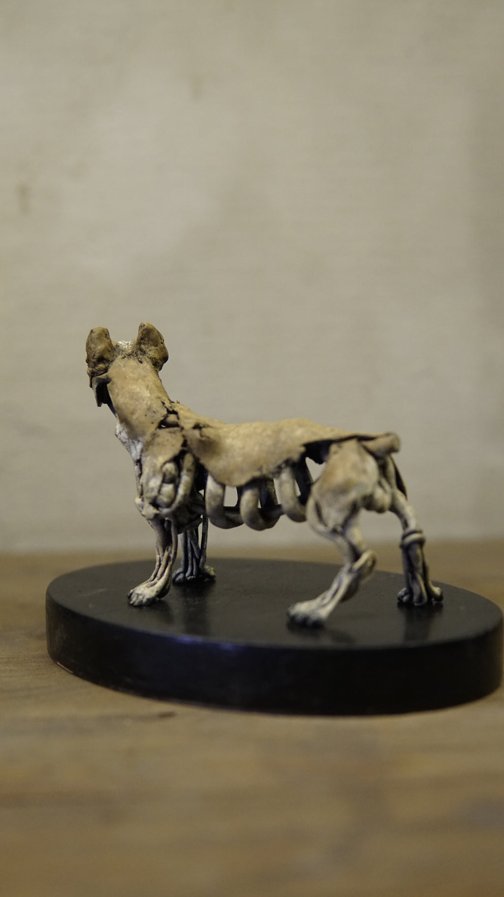 Hakan Baş - Köpek Irkları Serisi No.10
