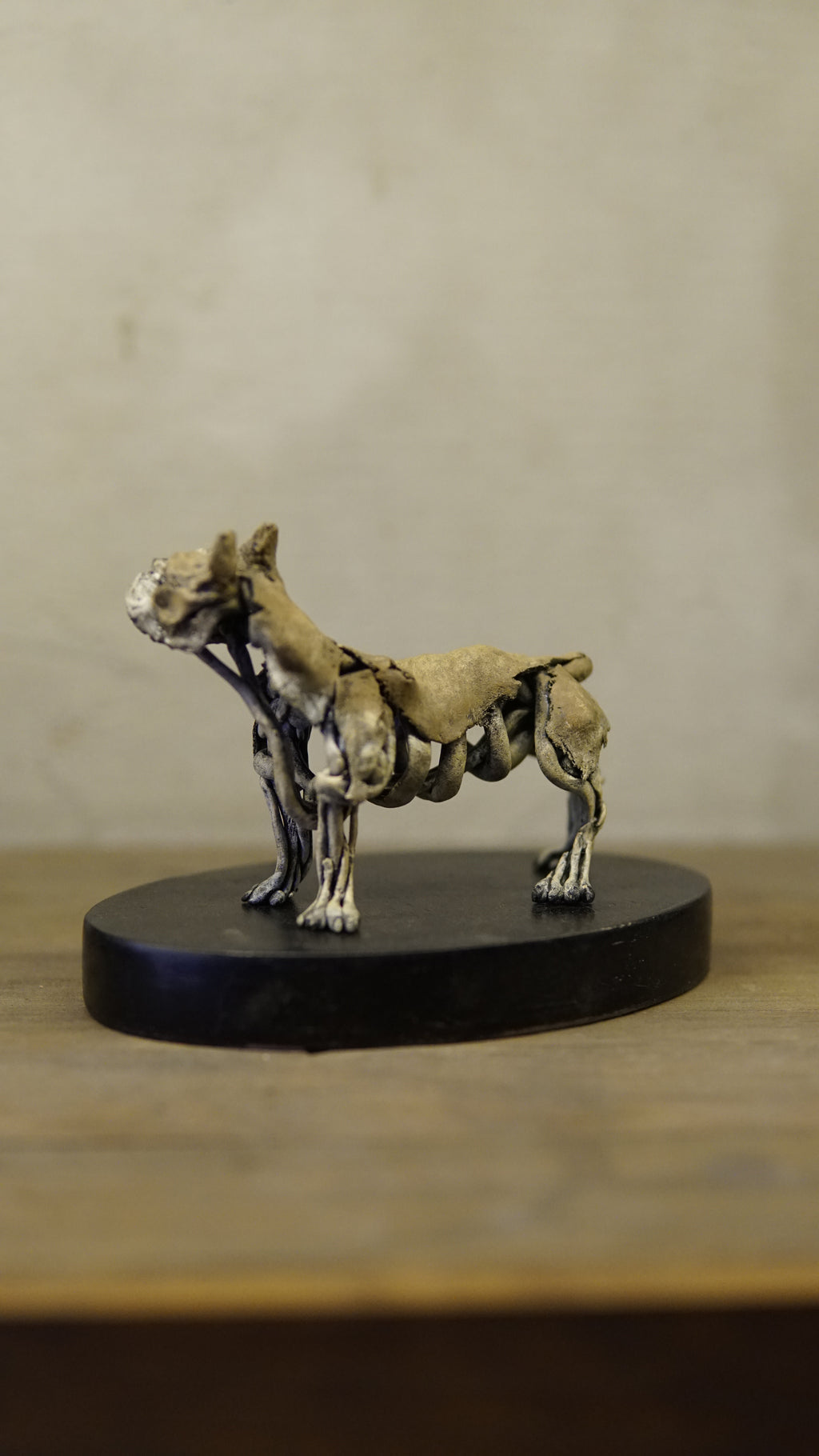 Hakan Baş - Köpek Irkları Serisi No.10