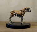 Hakan Baş - Köpek Irkları Serisi No.2