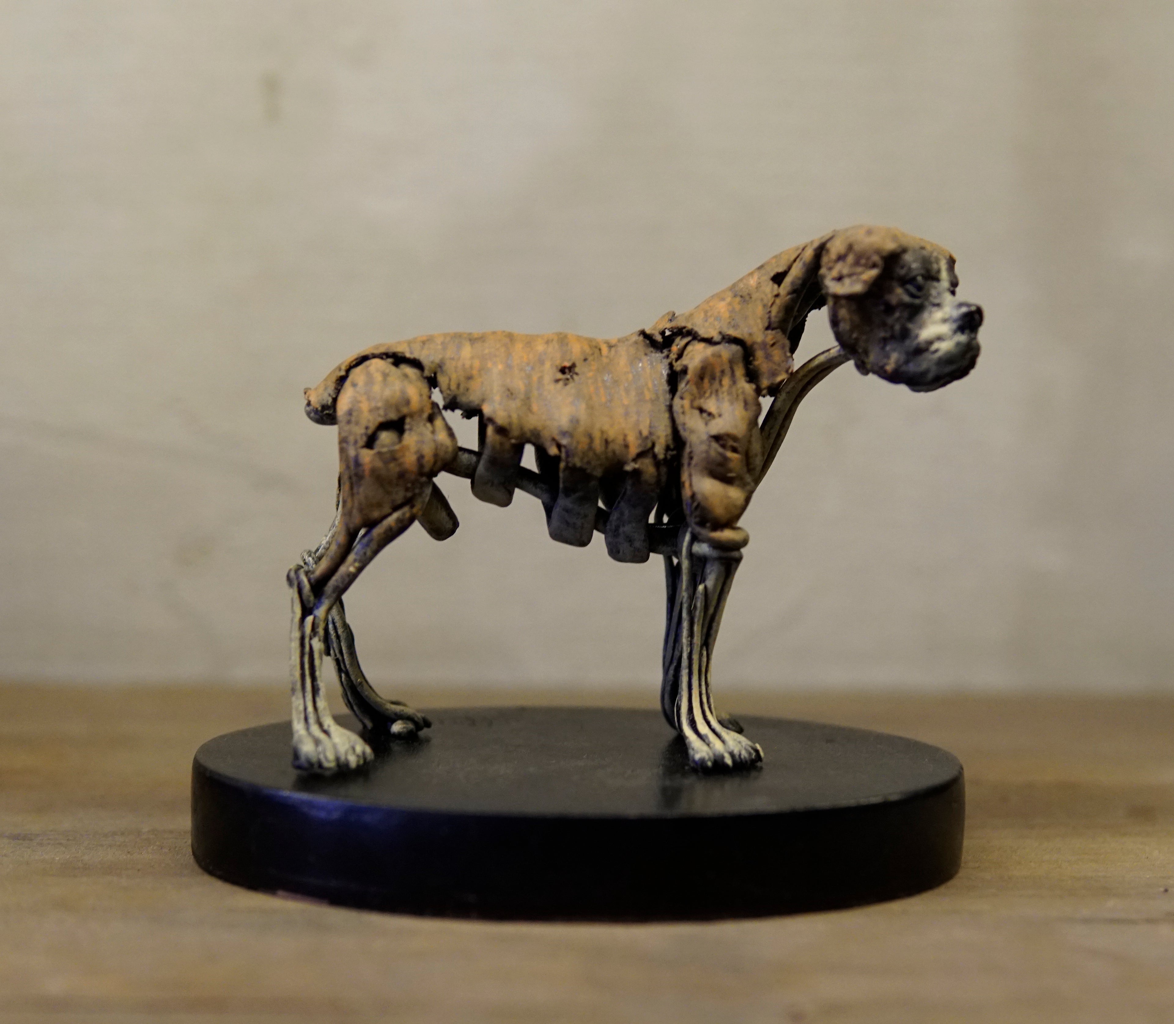 Hakan Baş - Köpek Irkları Serisi No.2
