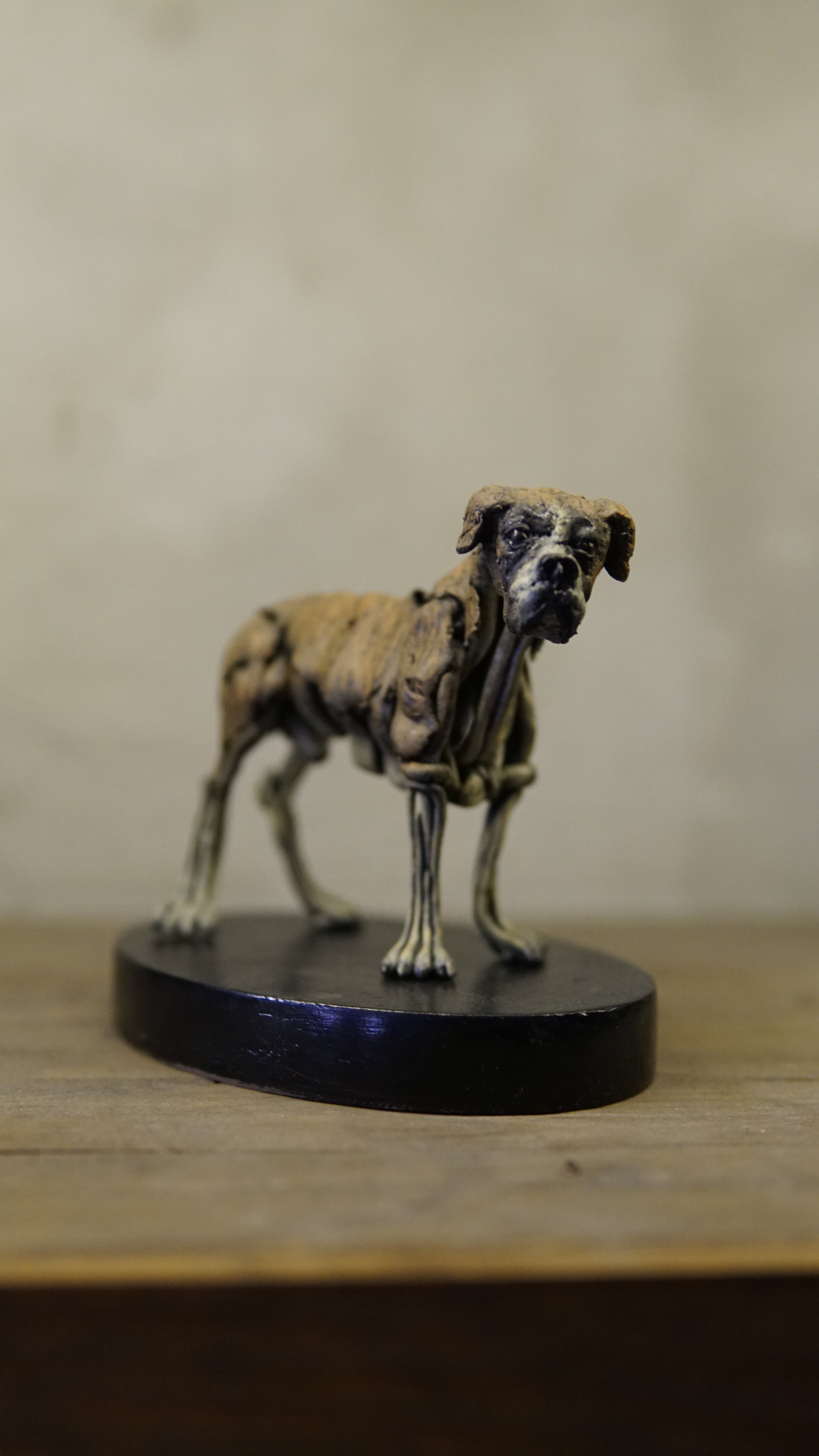 Hakan Baş - Köpek Irkları Serisi No.2