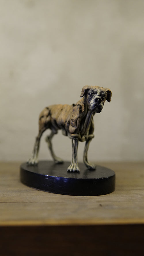 Hakan Baş - Köpek Irkları Serisi No.2