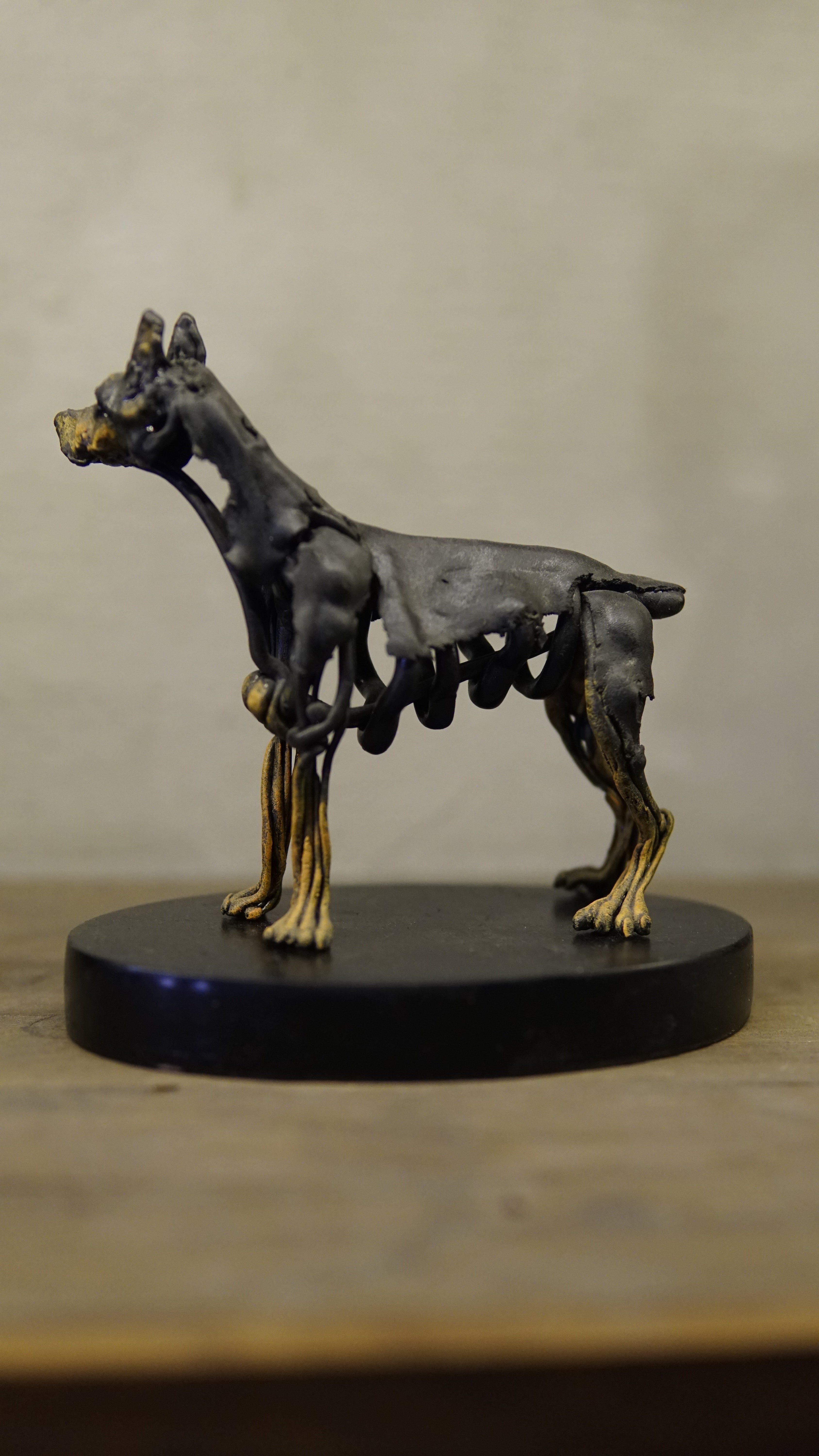 Hakan Baş - Köpek Irkları Serisi No.4