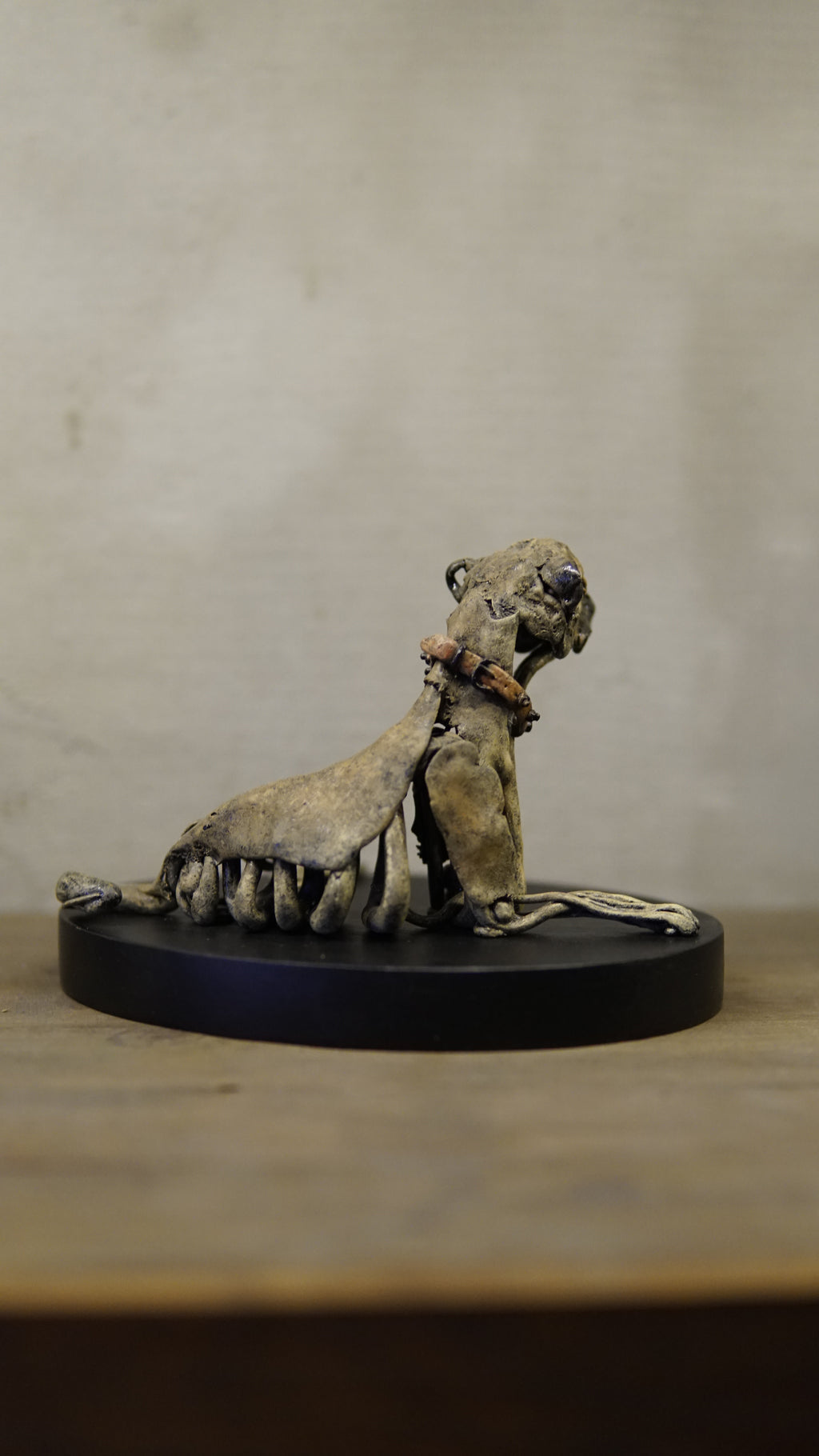 Hakan Baş - Köpek Irkları Serisi No.5