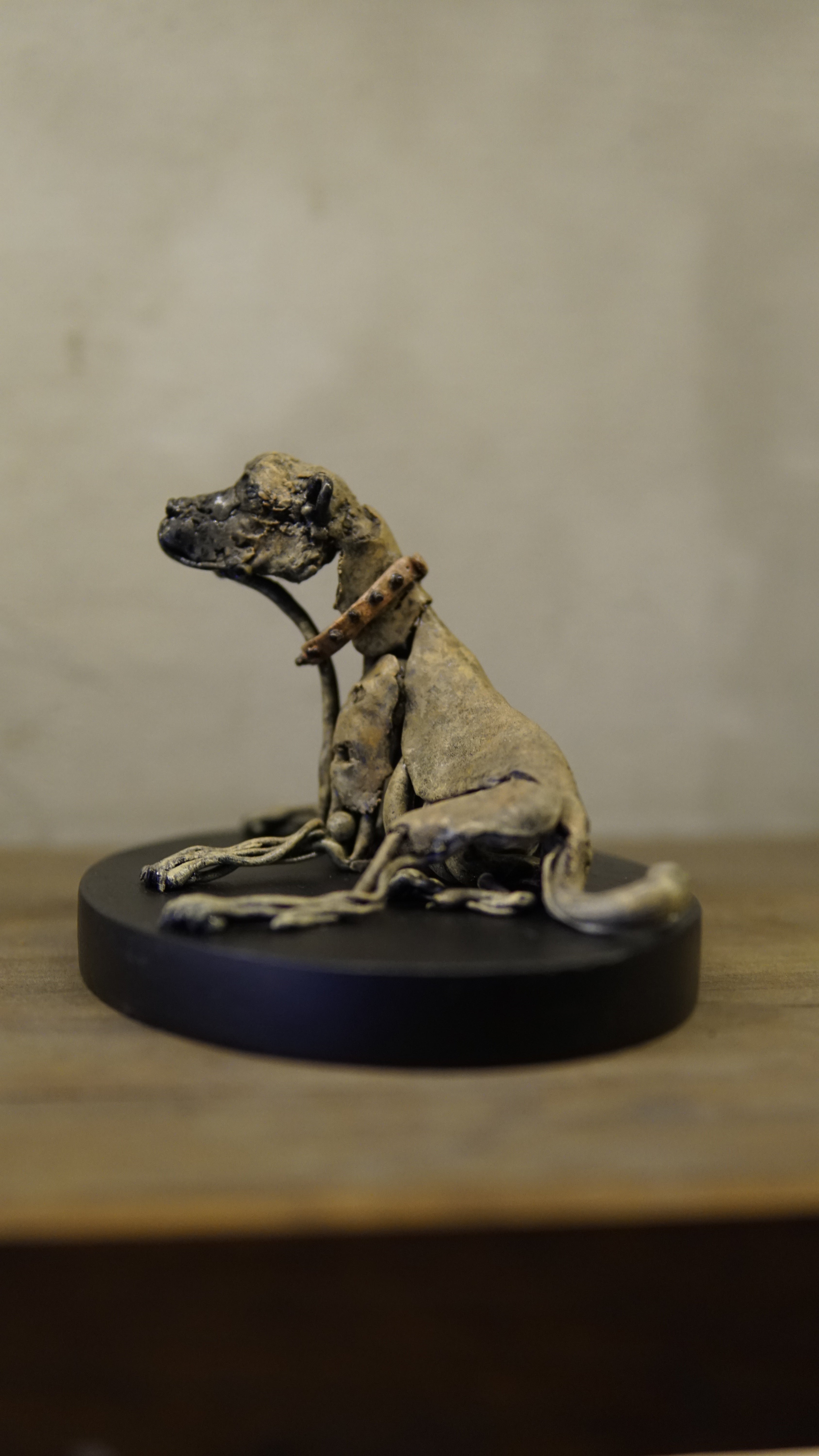 Hakan Baş - Köpek Irkları Serisi No.5