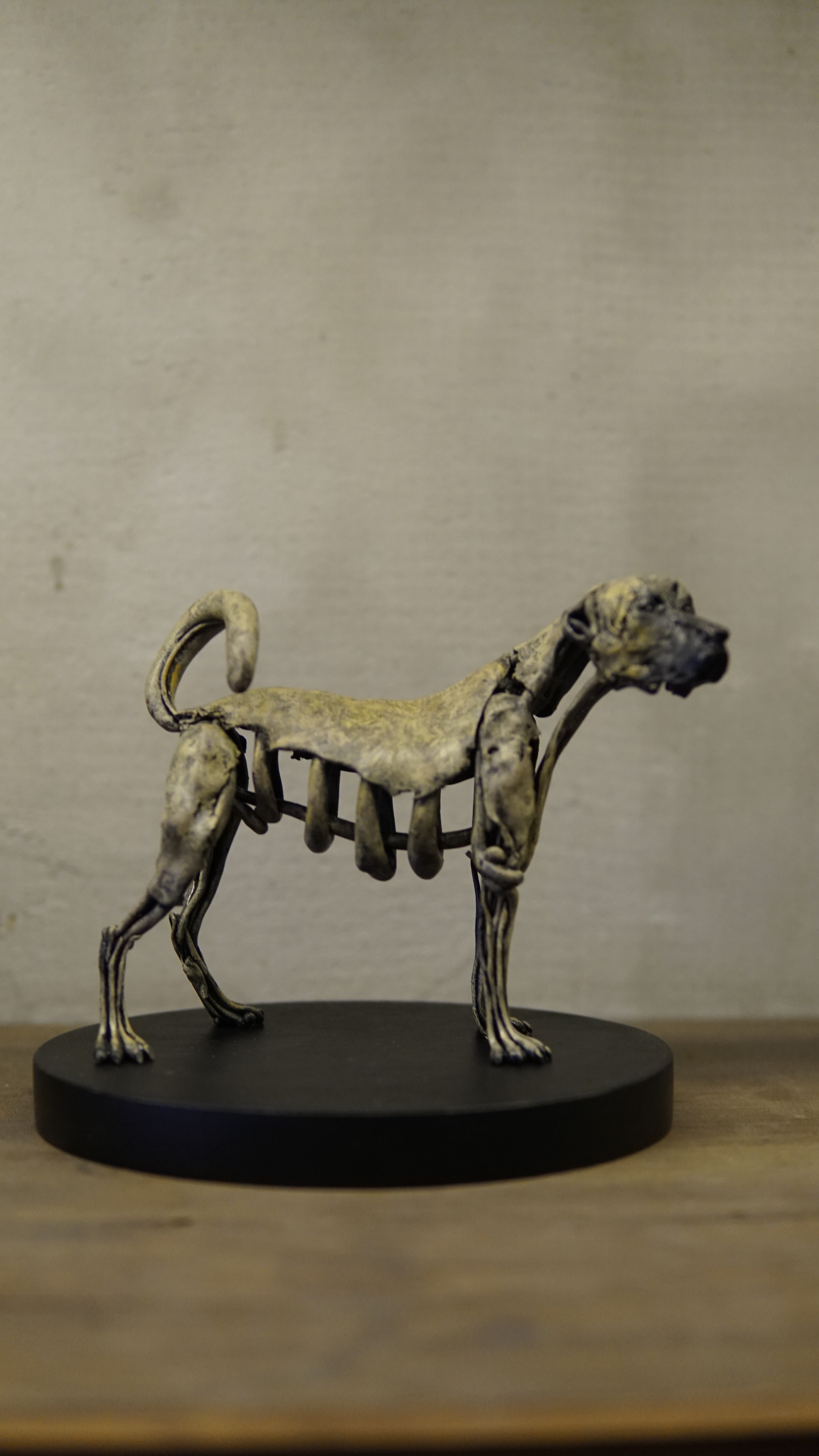 Hakan Baş - Köpek Irkları Serisi No.6