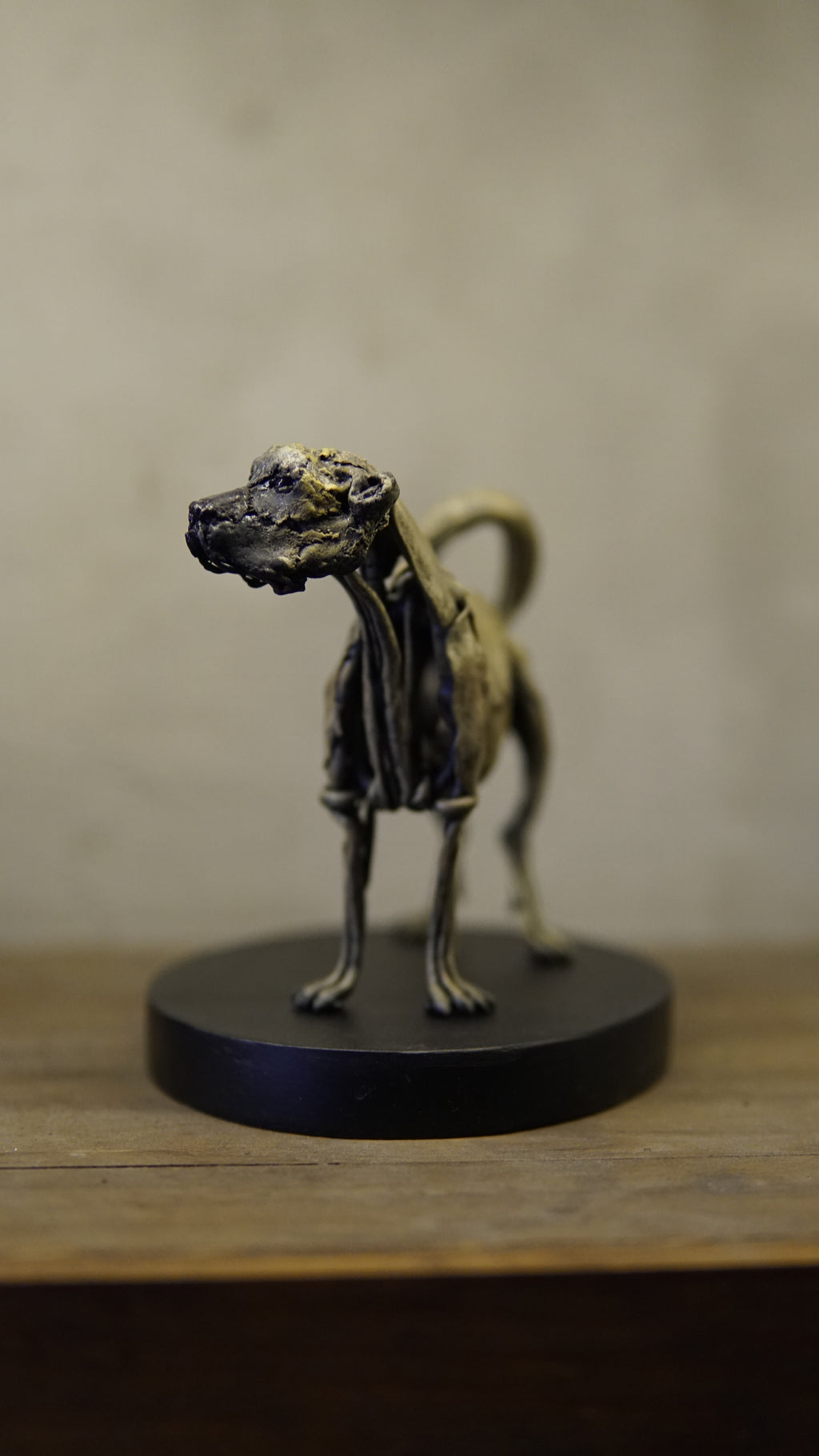 Hakan Baş - Köpek Irkları Serisi No.6