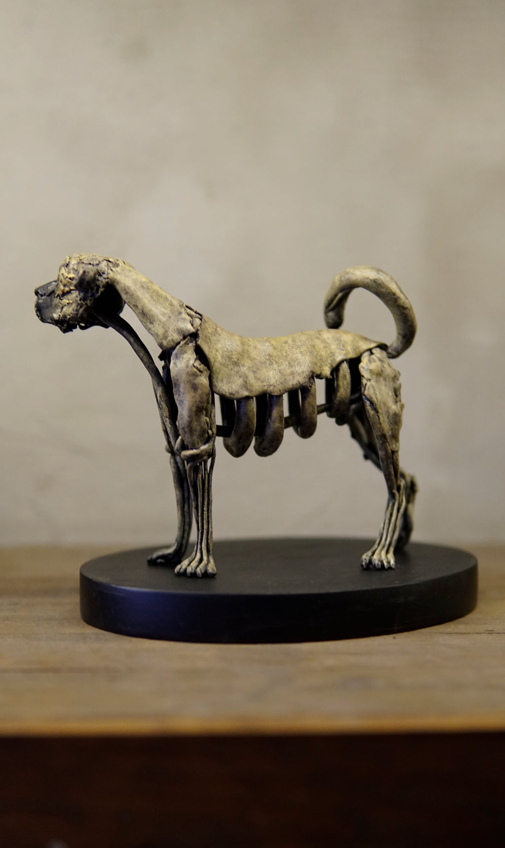 Hakan Baş - Köpek Irkları Serisi No.6