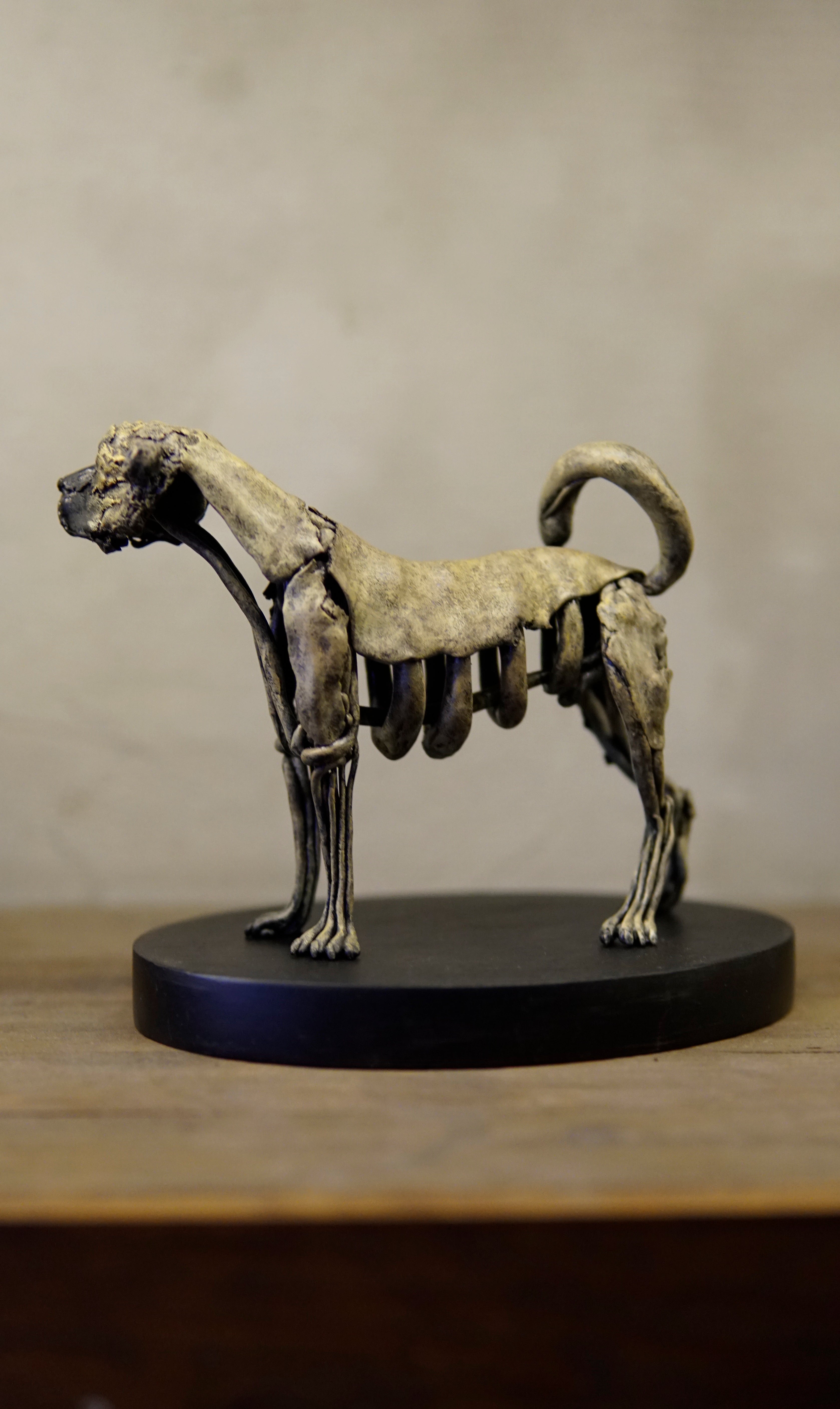 Hakan Baş - Köpek Irkları Serisi No.6