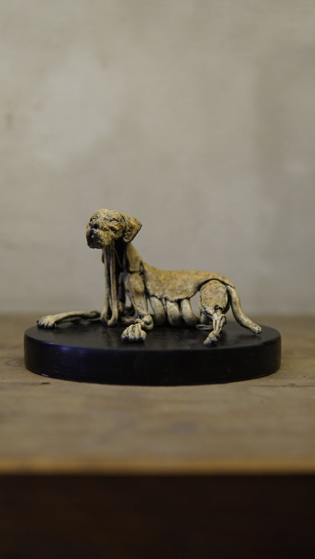 Hakan Baş - Köpek Irkları Serisi No.7
