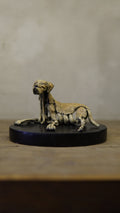 Hakan Baş - Köpek Irkları Serisi No.7