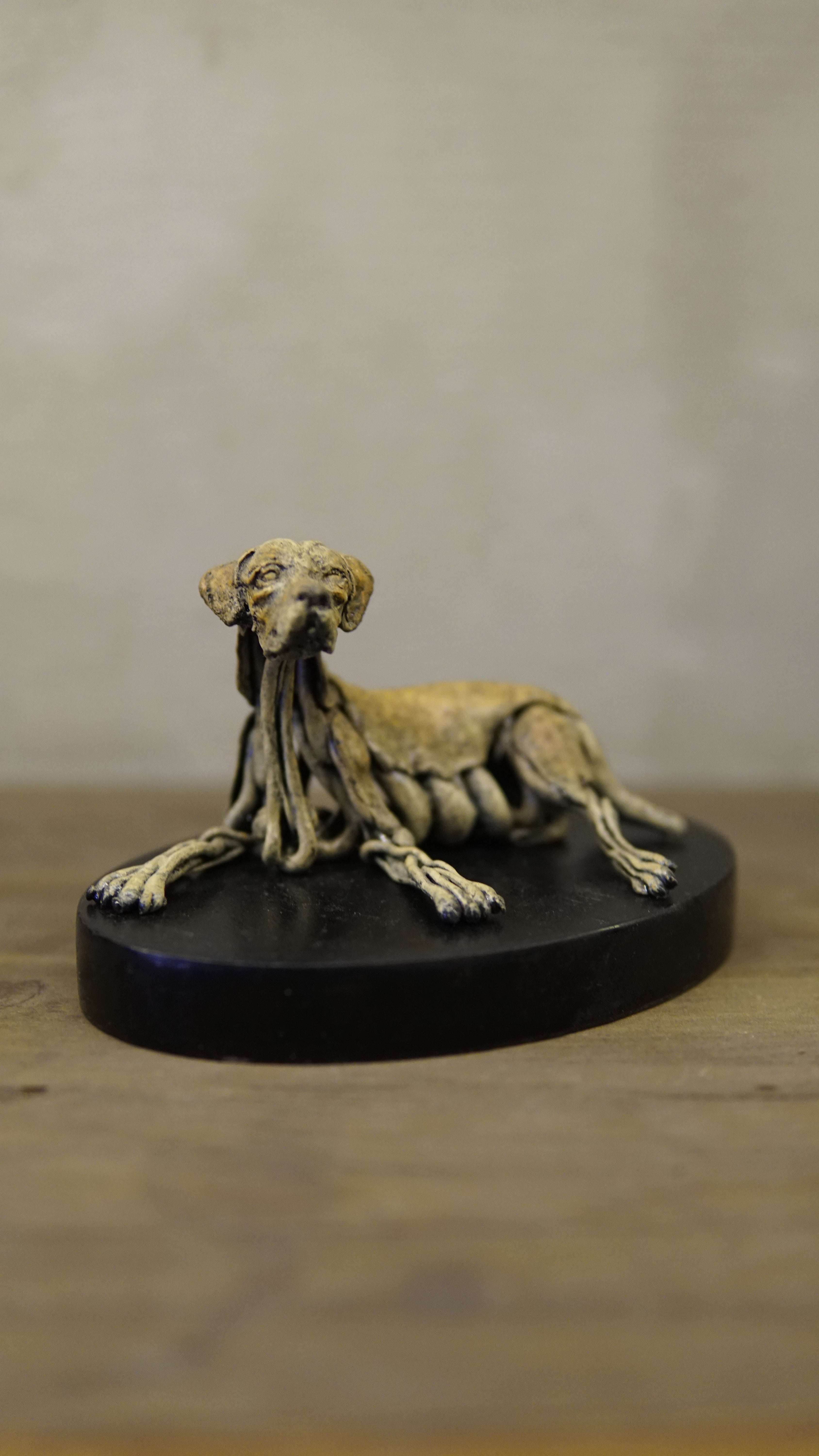 Hakan Baş - Köpek Irkları Serisi No.7