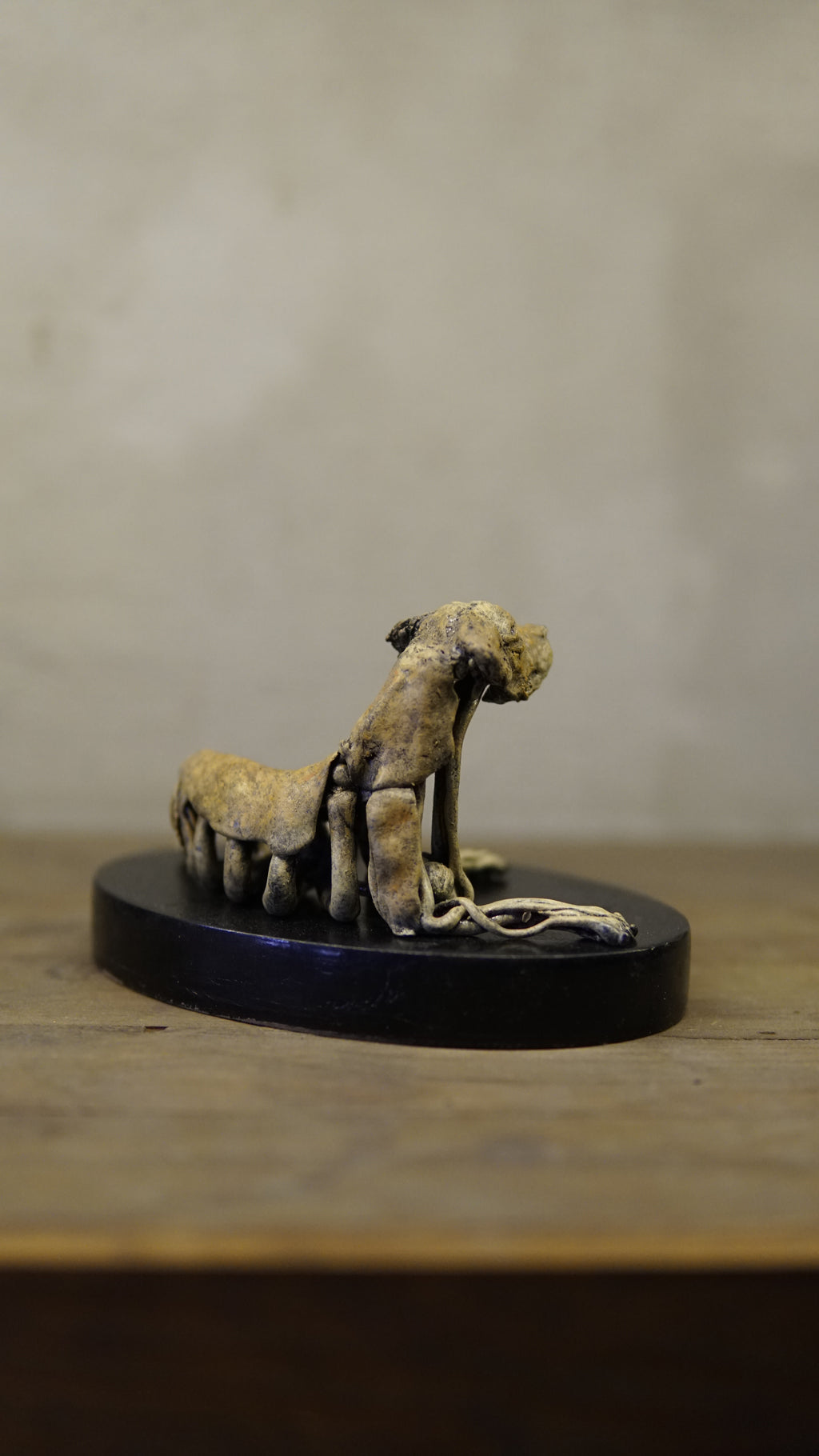 Hakan Baş - Köpek Irkları Serisi No.7
