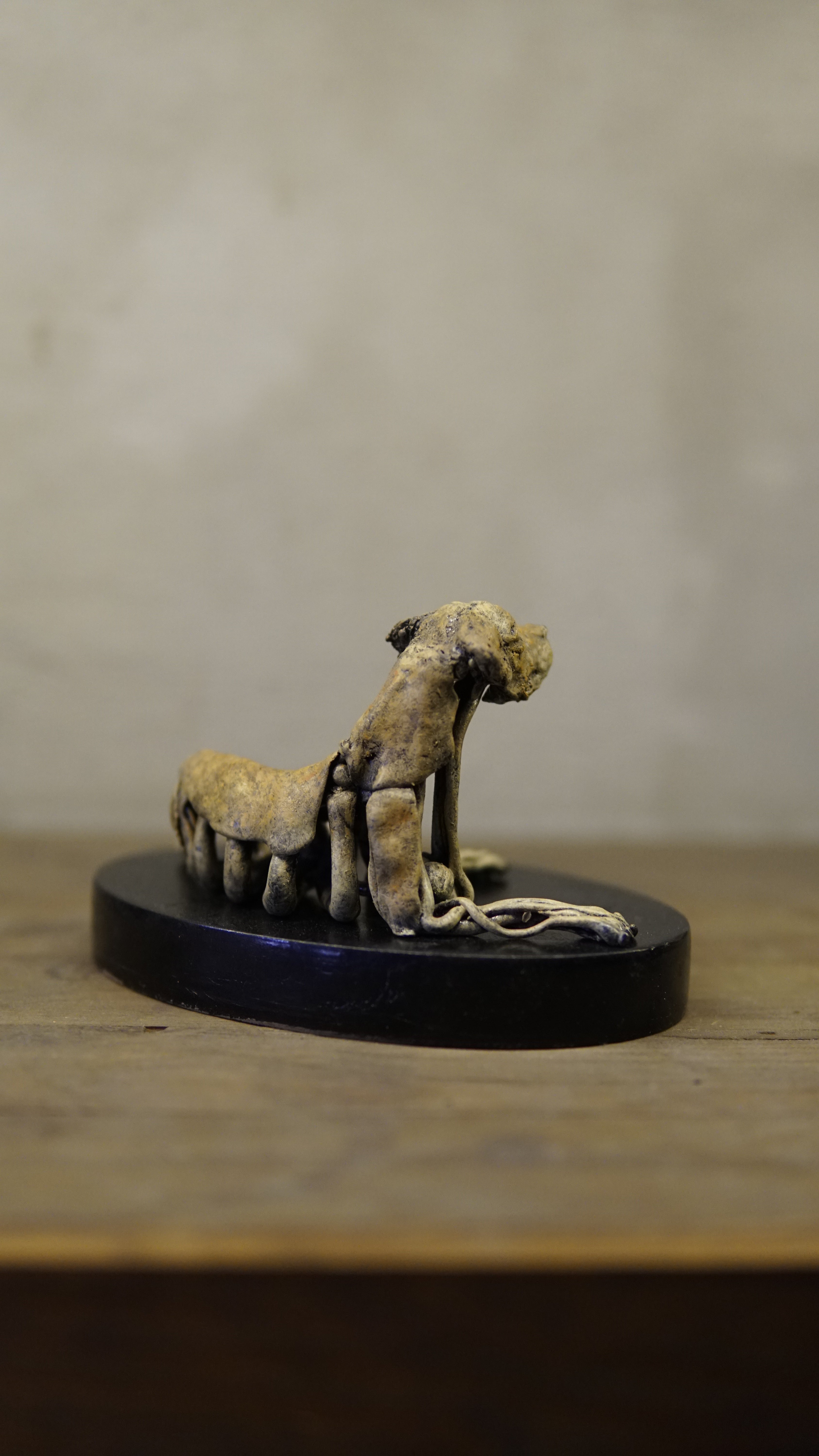 Hakan Baş - Köpek Irkları Serisi No.7