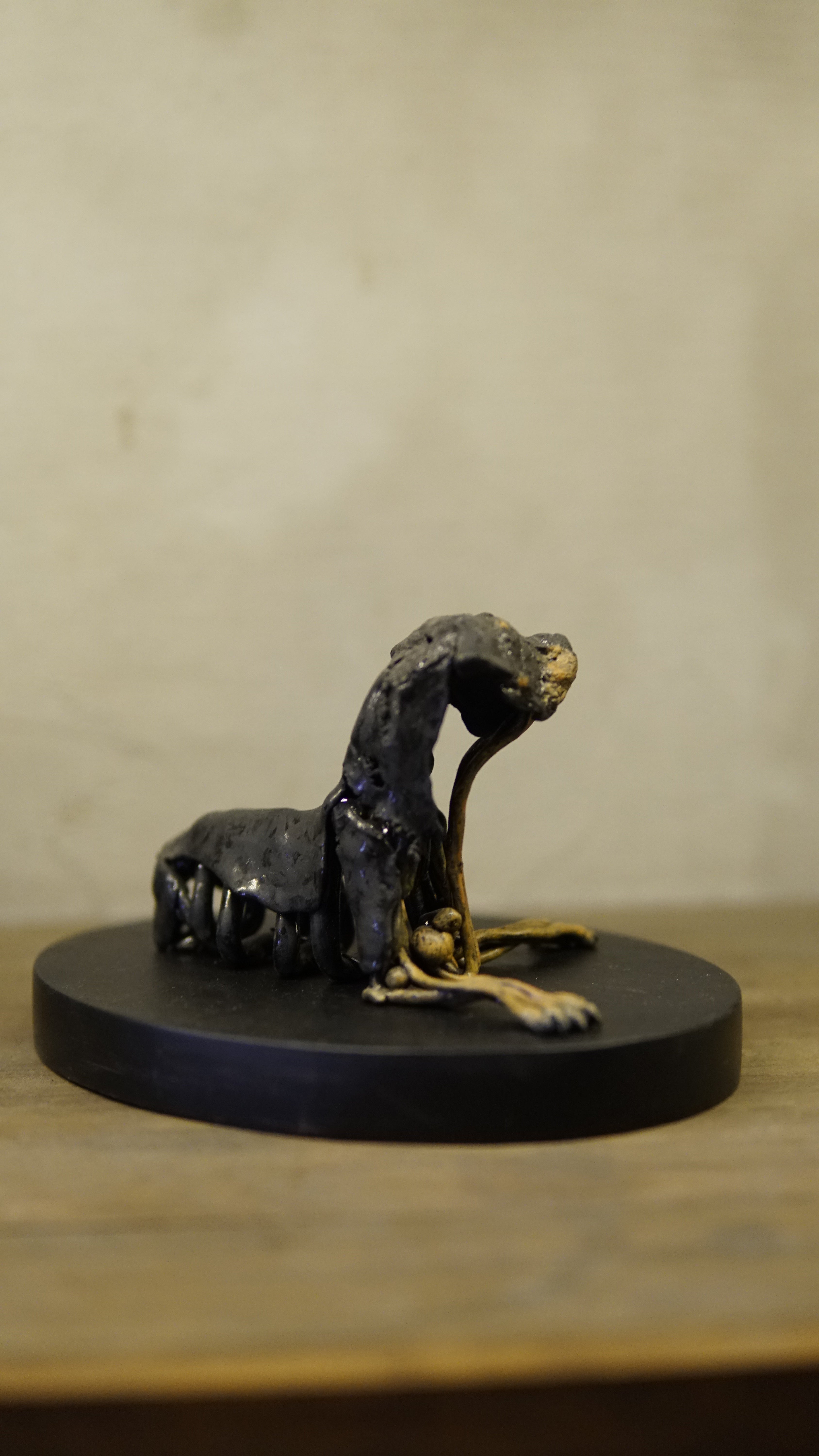 Hakan Baş - Köpek Irkları Serisi No.8
