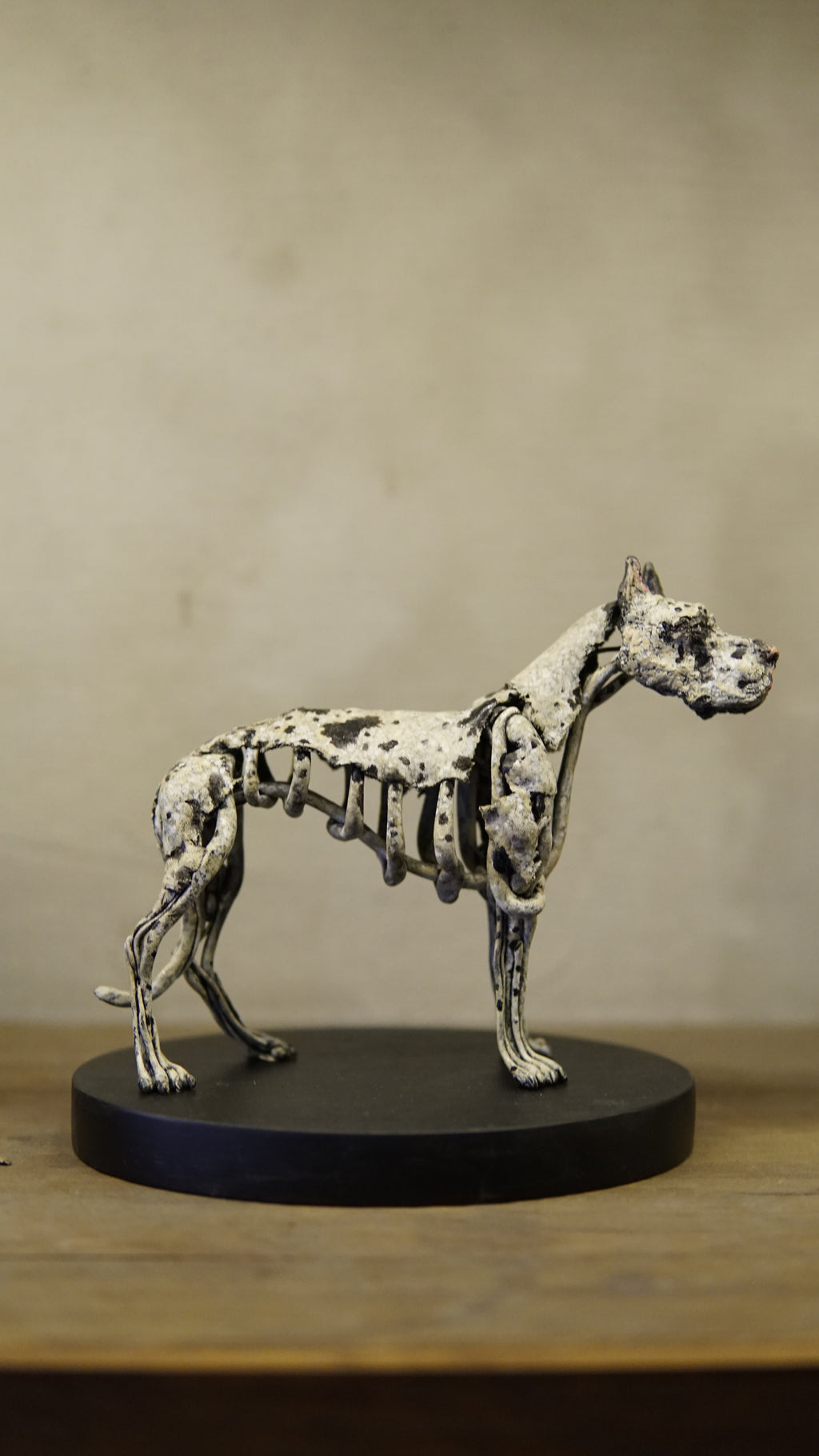 Hakan Baş - Köpek Irkları Serisi No.9