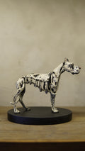 Hakan Baş - Köpek Irkları Serisi No.9