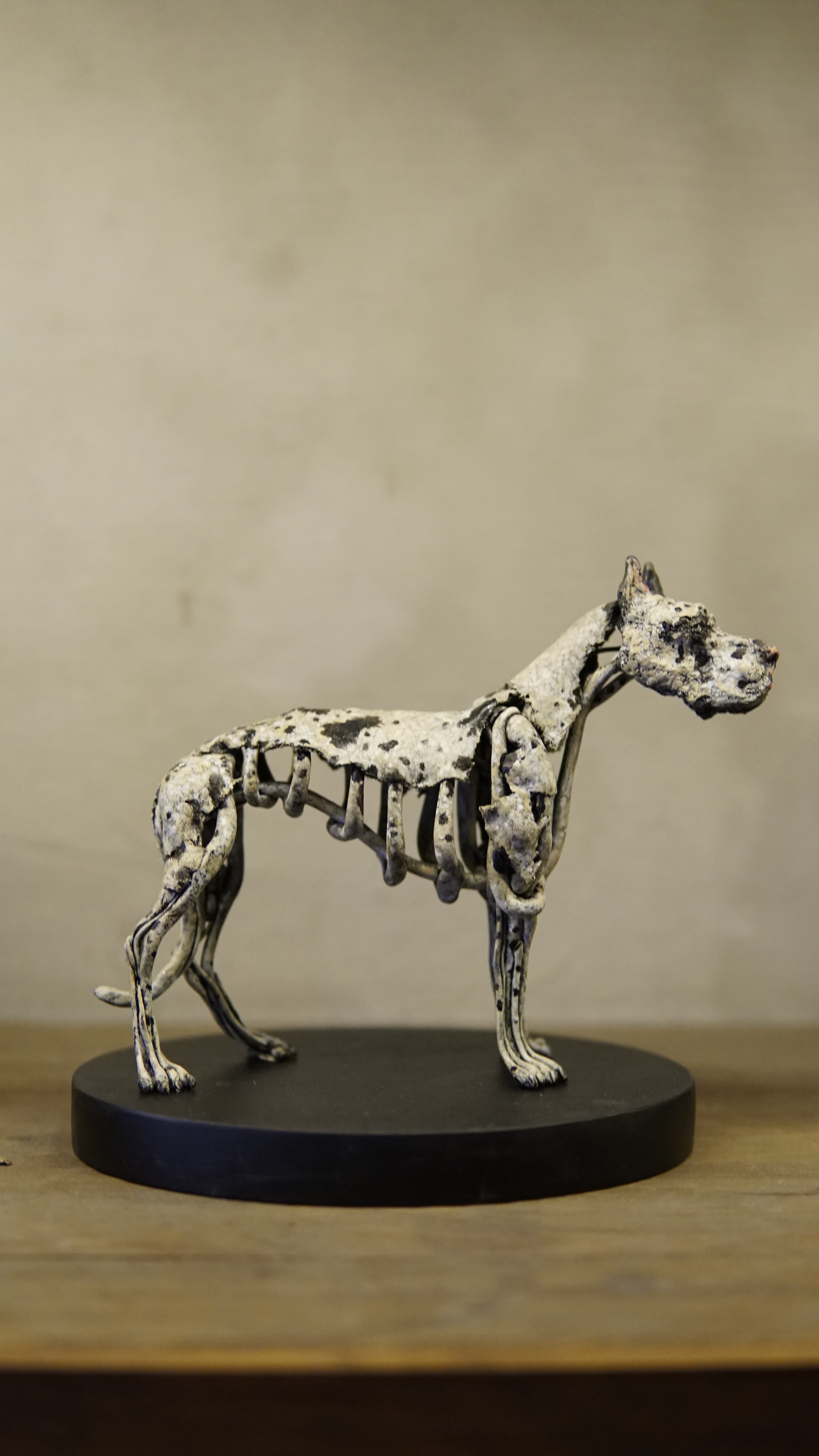 Hakan Baş - Köpek Irkları Serisi No.9