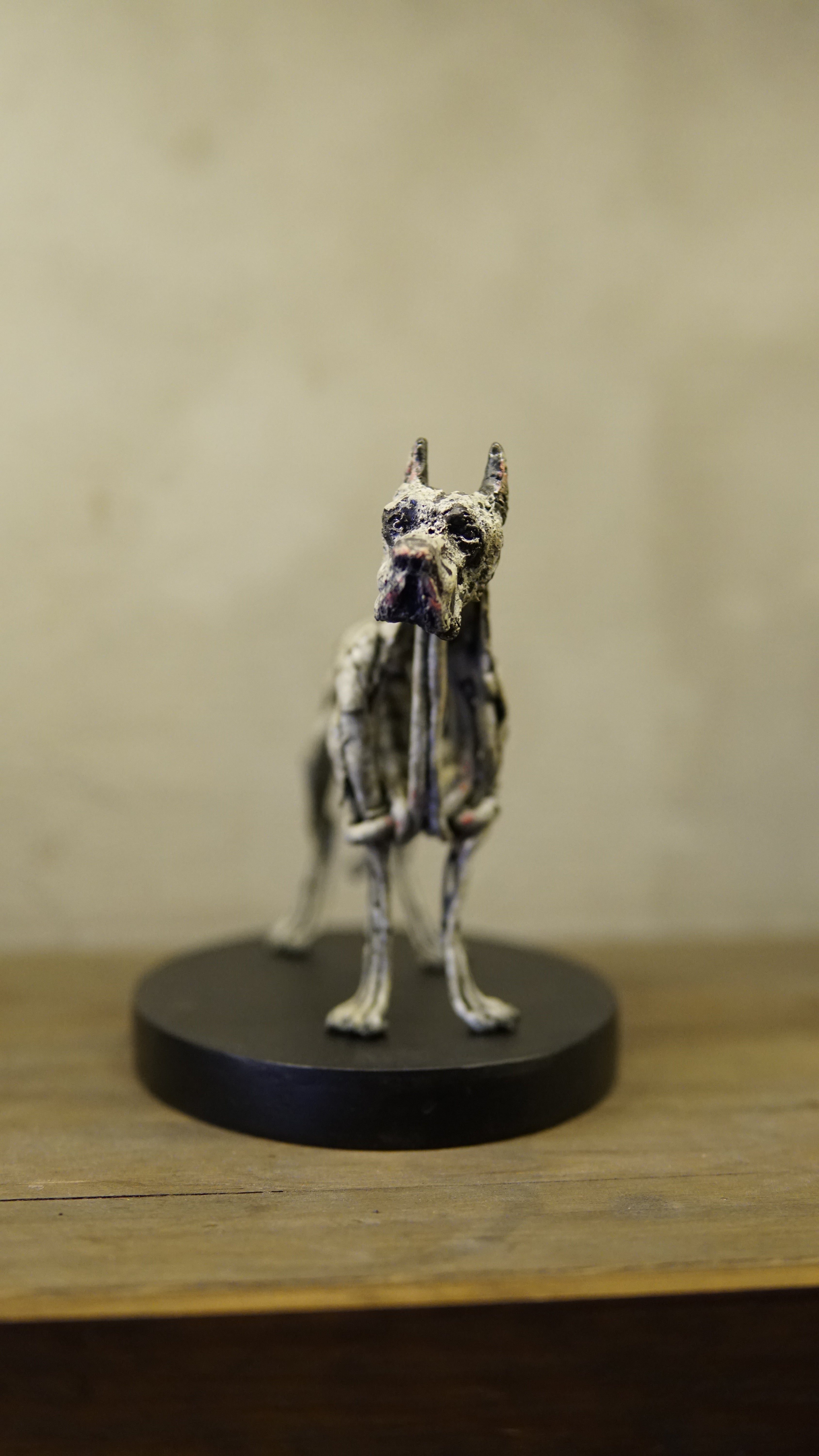 Hakan Baş - Köpek Irkları Serisi No.9