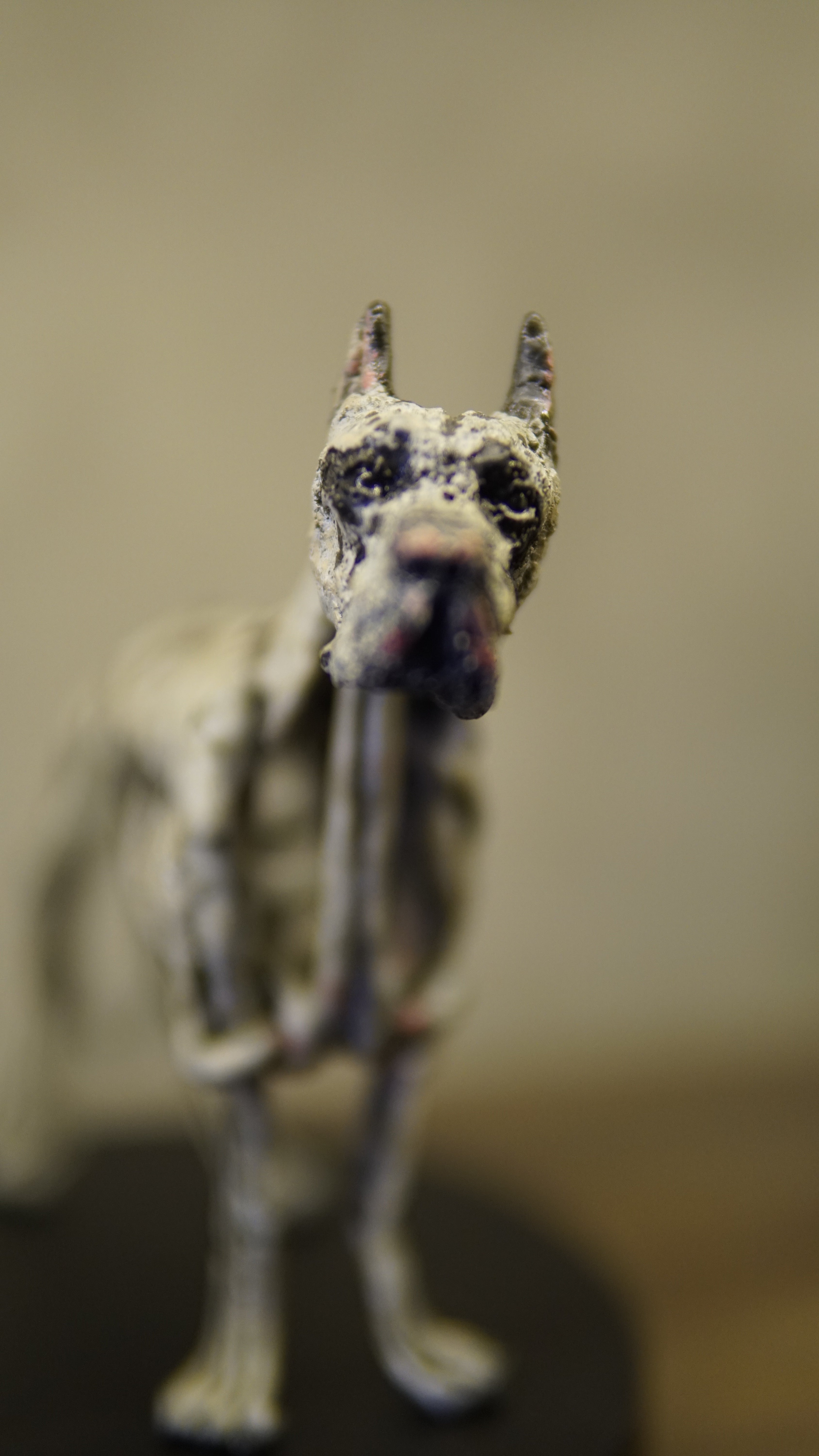 Hakan Baş - Köpek Irkları Serisi No.9